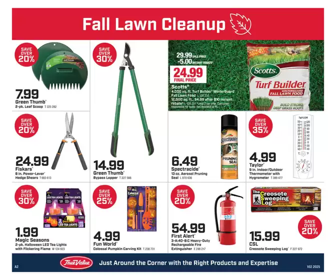 Our best bargains