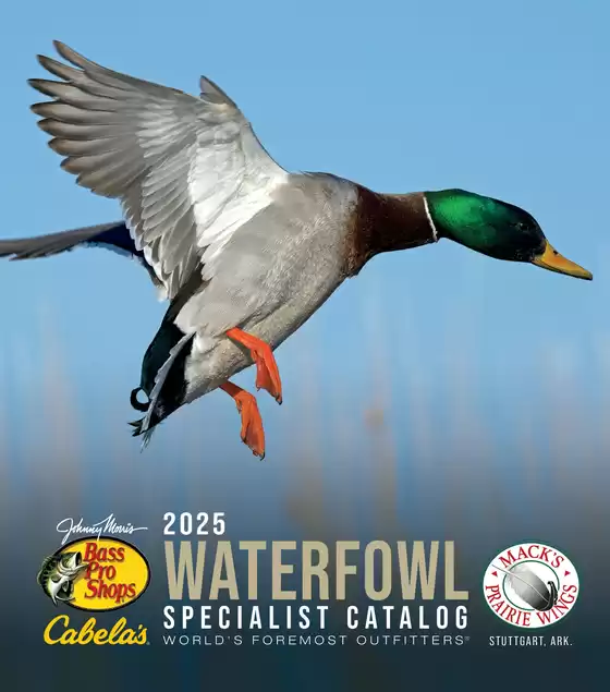 Waterfowl 25
