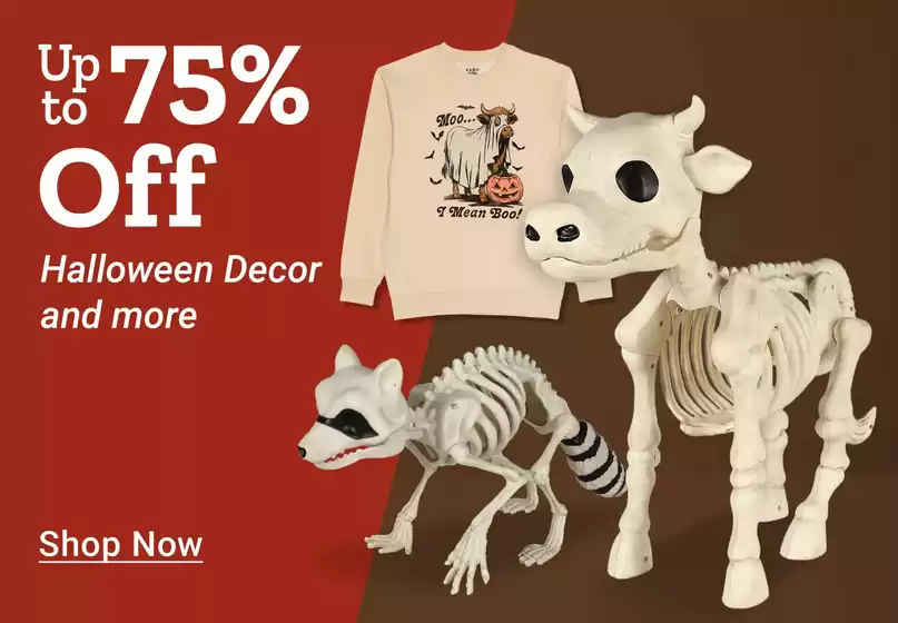 Offers for bargain hunters