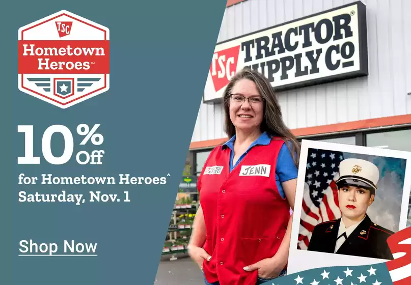 Current bargains and offers