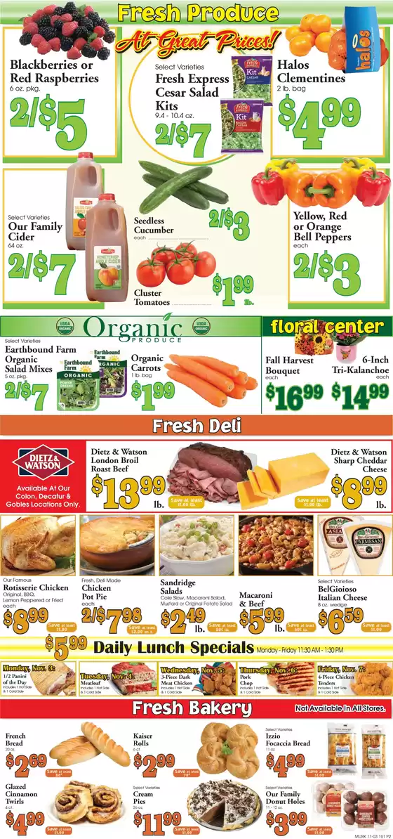 Village Market Food Centers weekly ad