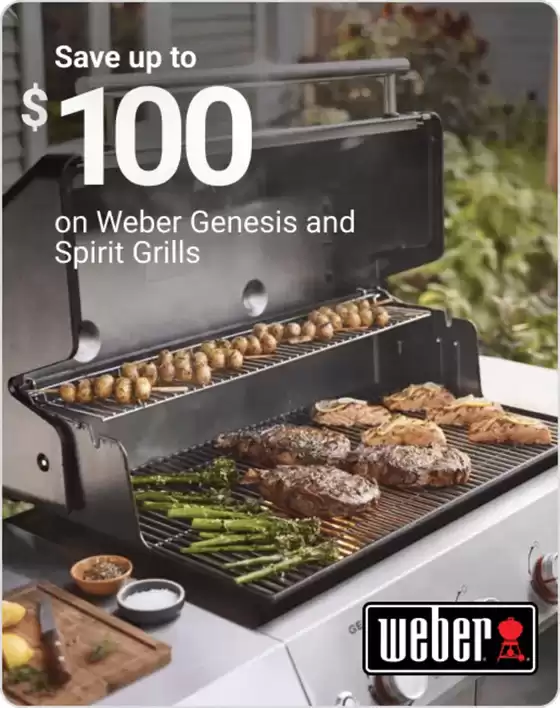 Ace Hardware catalogue in Munising MI | Current deals and offers | 2026-04-05T00:00:00.000Z - 2026-04-19T00:00:00.000Z