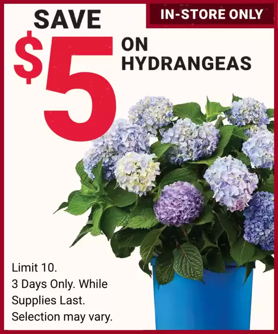 Ace Hardware catalogue | Ace Hardware weekly ad | 2026-04-29T00:00:00.000Z - 2026-05-13T00:00:00.000Z