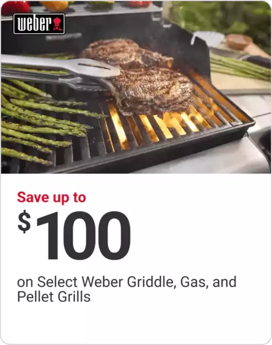 Ace Hardware catalogue | Exclusive bargains | 2026-05-13T00:00:00.000Z - 2026-05-27T00:00:00.000Z