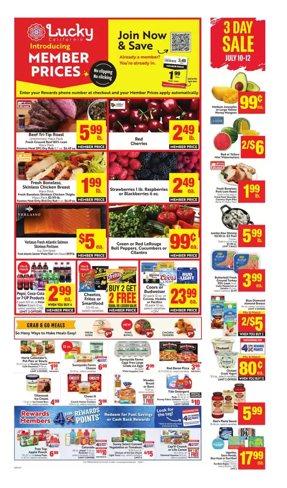 main_flyer image