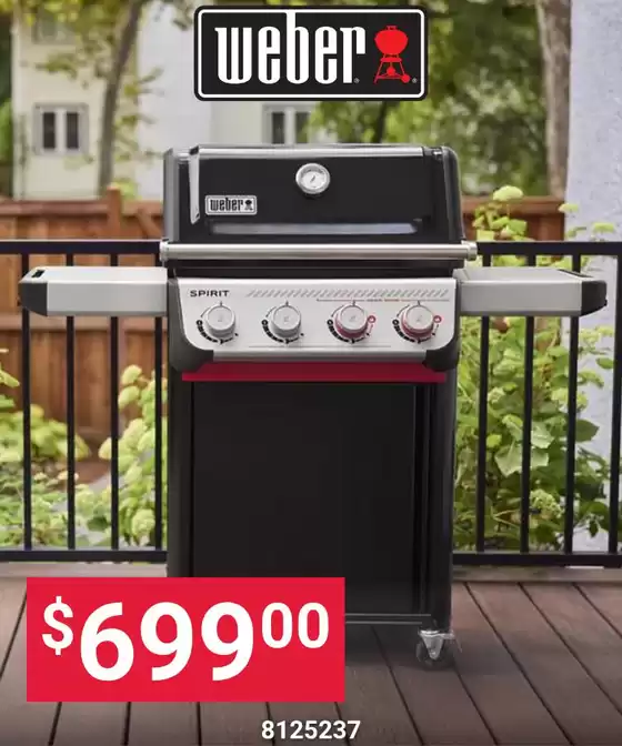 Ace Hardware catalogue | Ace Hardware weekly ad | 2026-07-14T00:00:00.000Z - 2026-07-28T00:00:00.000Z