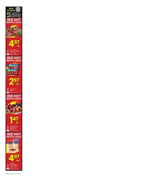 main_flyer image
