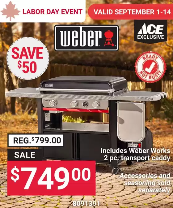 Ace Hardware catalogue | Ace Hardware weekly ad | 2026-09-01T00:00:00.000Z - 2026-09-14T00:00:00.000Z