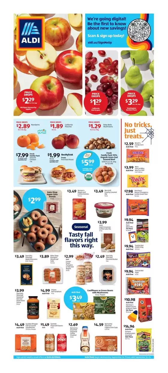 Aldi catalogue in Terrell TX | Weekly Ad | 2026-09-16T00:00:00.000Z - 2026-09-22T00:00:00.000Z