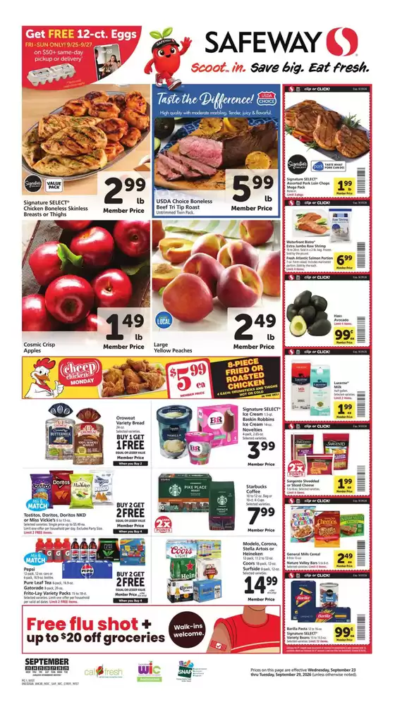 main_flyer image