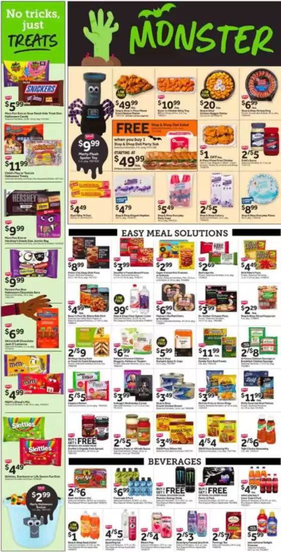 main_flyer image