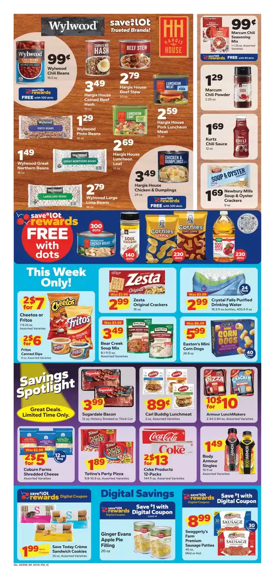 main_flyer image
