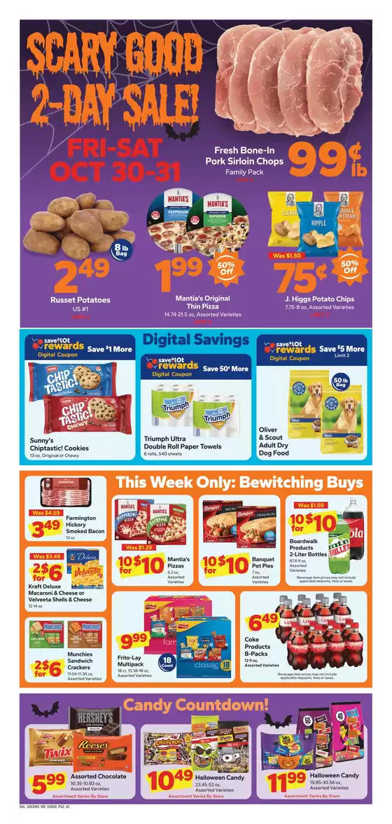 main_flyer image