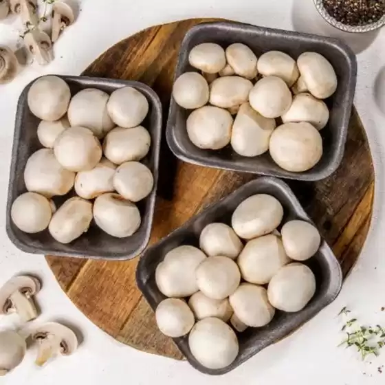 Food Lover's Market catalogue in Pinetown | Food Lover's Market weekly specials | 2026-03-15T00:00:00.000Z - 2026-03-22T00:00:00.000Z