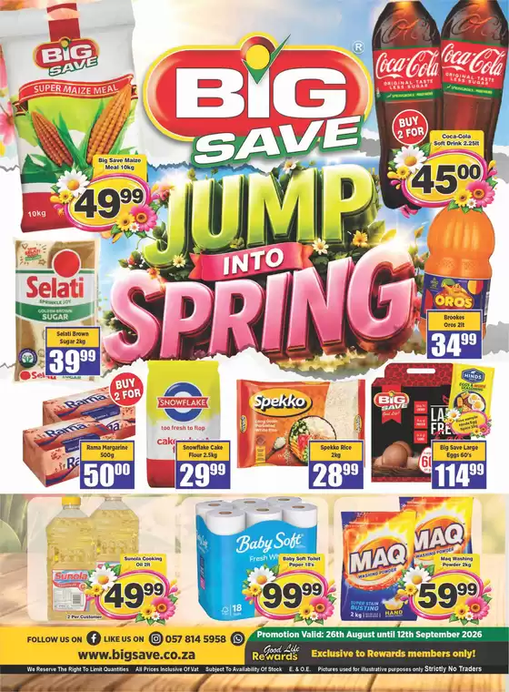 Big Save catalogue in Harding | Jump Into Spring | 2026-09-09T00:00:00.000Z - 2026-09-12T00:00:00.000Z