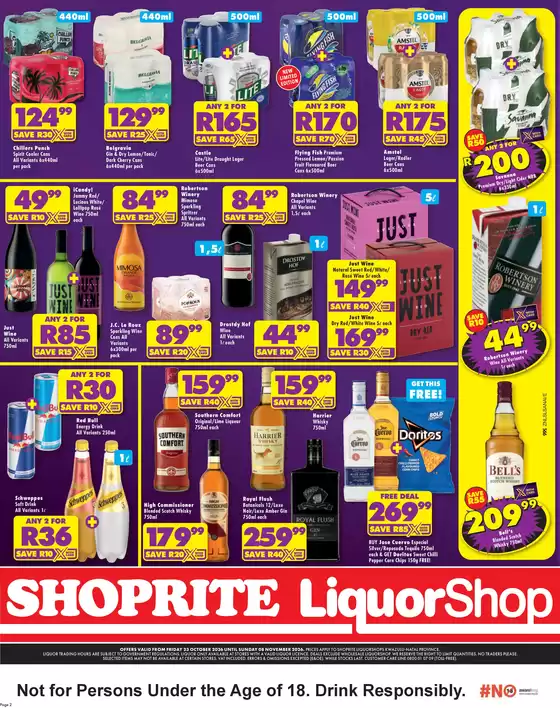 main_flyer image