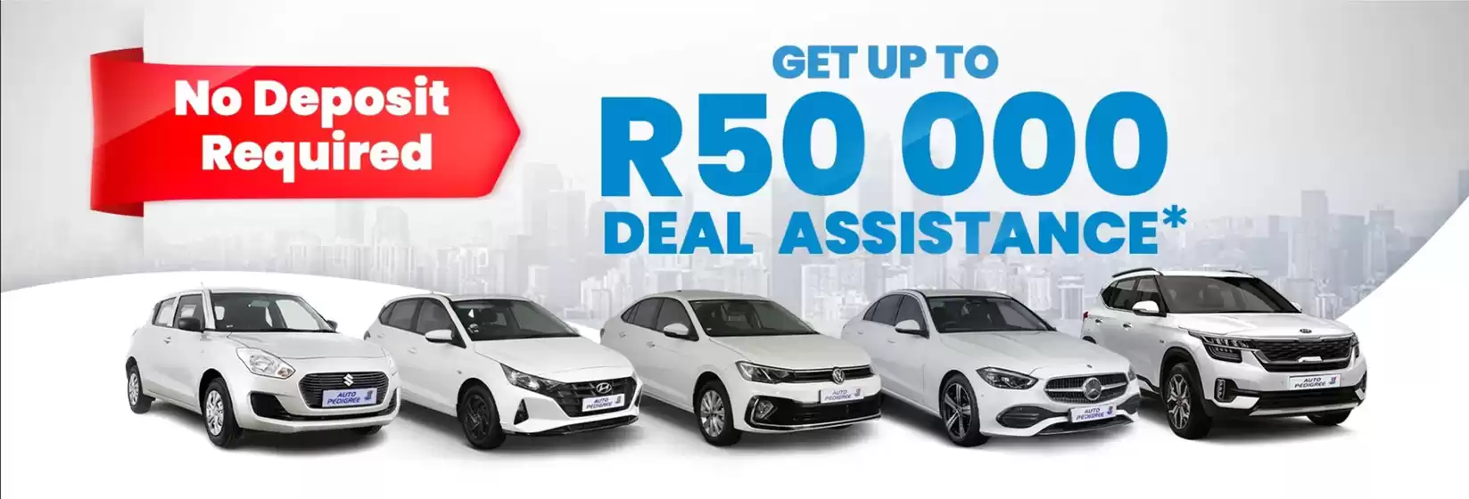 Auto Pedigree Promo