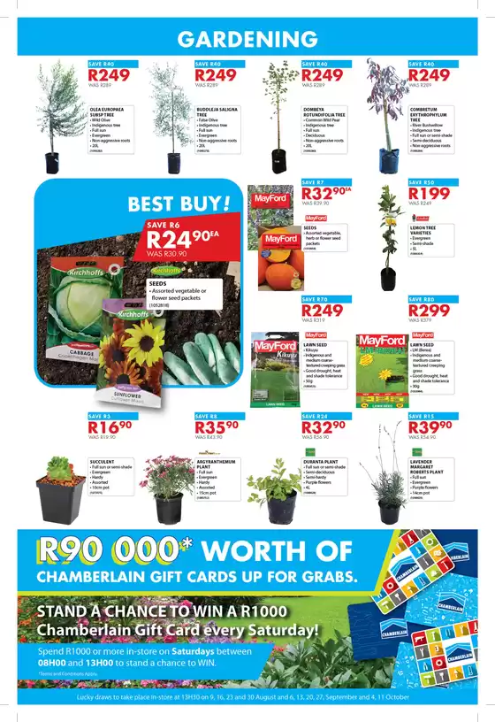 Spring into gardening