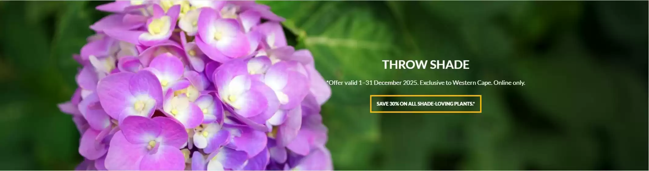 Stodels catalogue in Pinetown | Stodels Promo | 2025-12-03T00:00:00.000Z - 2025-12-31T00:00:00.000Z