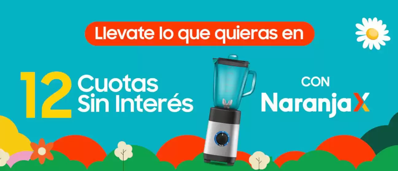 Promoción 12 cuotas sin interes
