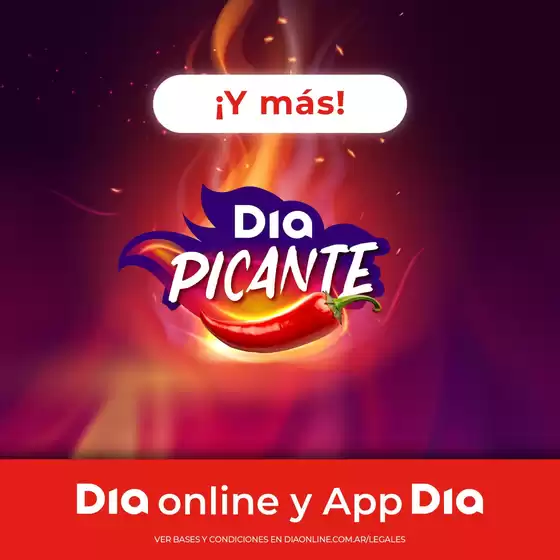 Ofertas y promociones actuales