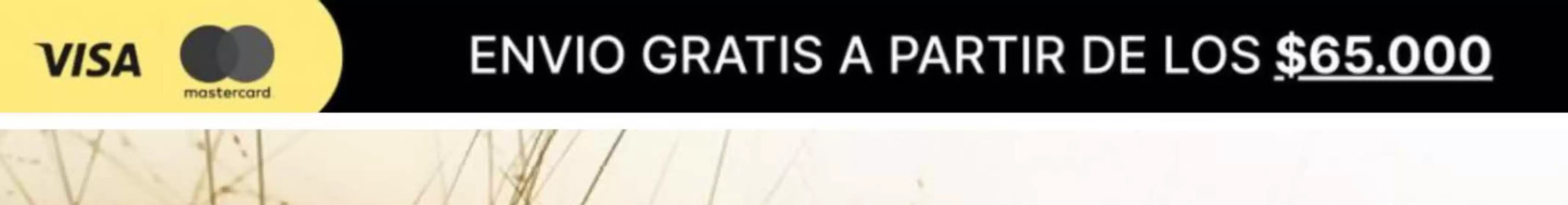 Envío Gratis