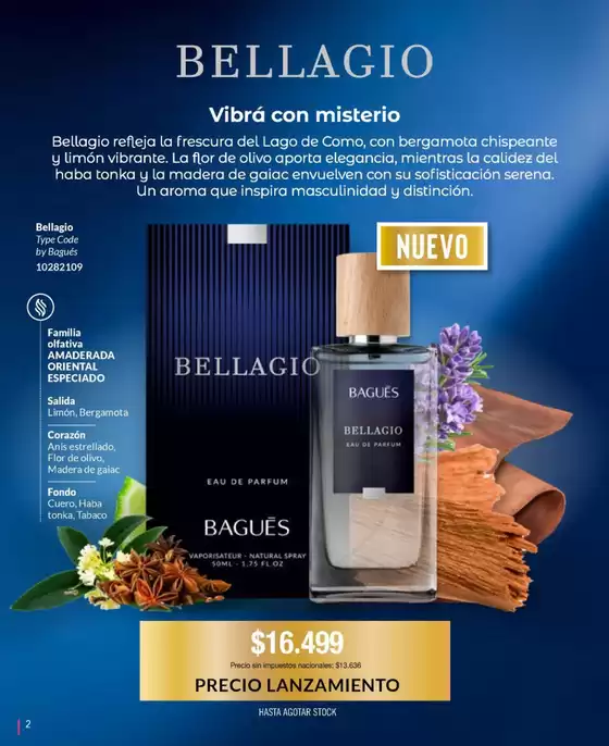Ofertas Bagués Campaña 09 Argentina