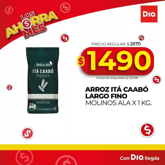 Ofertas y gangas exclusivas