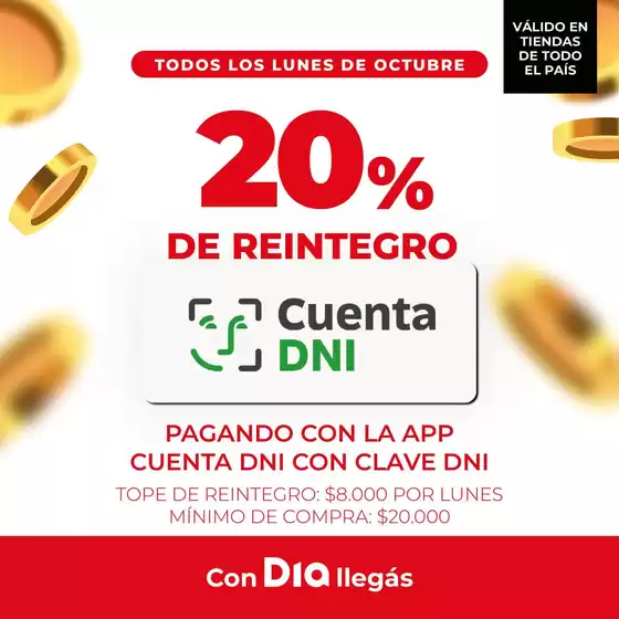 Catálogo Supermercados DIA en Recoleta | Ofertas exclusivas para nuestros clientes | 2025-10-29T00:00:00.000Z - 2025-11-12T00:00:00.000Z