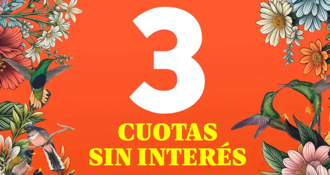 Catálogo Zapatillas Puro en Mar del Plata | Promoción! 3 cuotas sin interes | 2025-11-17T00:00:00.000Z - 2025-11-30T00:00:00.000Z