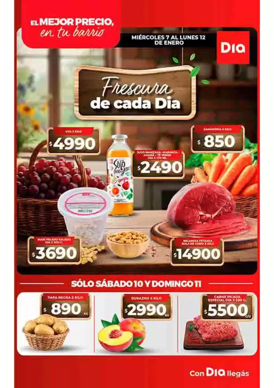 Catálogo Supermercados DIA | Excelente oferta para todos los clientes | 2026-01-07T00:00:00.000Z - 2026-01-12T00:00:00.000Z