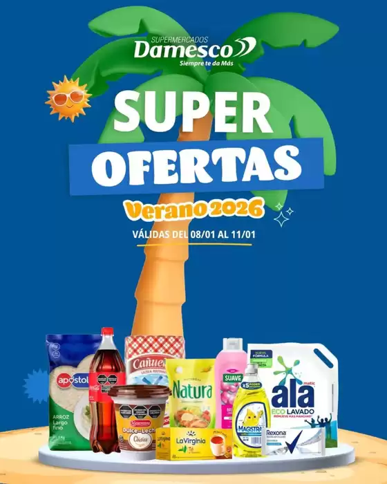 Catálogo Supermercados Damesco en Santo Tomé (Santa Fe) | Ofertas exclusivas para nuestros clientes | 2026-08-01T00:00:00.000Z - 2026-11-01T00:00:00.000Z