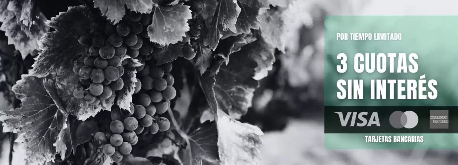 Catálogo Vinoteca Ligier | 3 cuotas sin interes!! | 2026-01-12T00:00:00.000Z - 2026-01-21T00:00:00.000Z