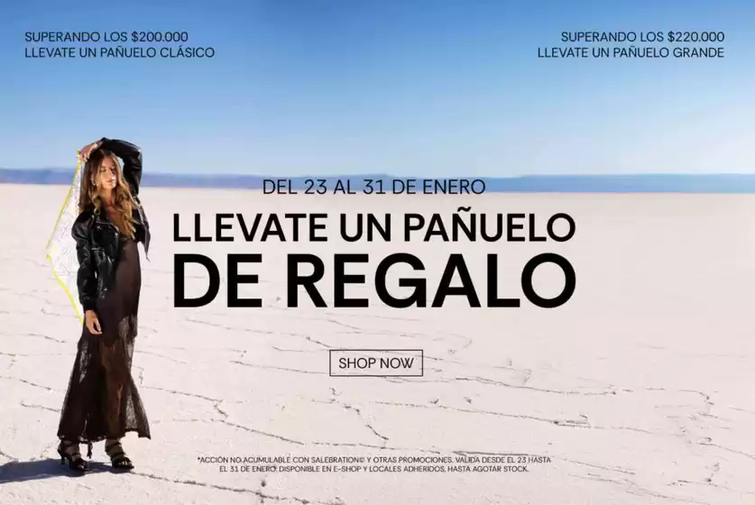 Catálogo Lazaro en Bella Vista (Buenos Aires) | Promoción! | 2026-01-29T00:00:00.000Z - 2026-01-31T00:00:00.000Z