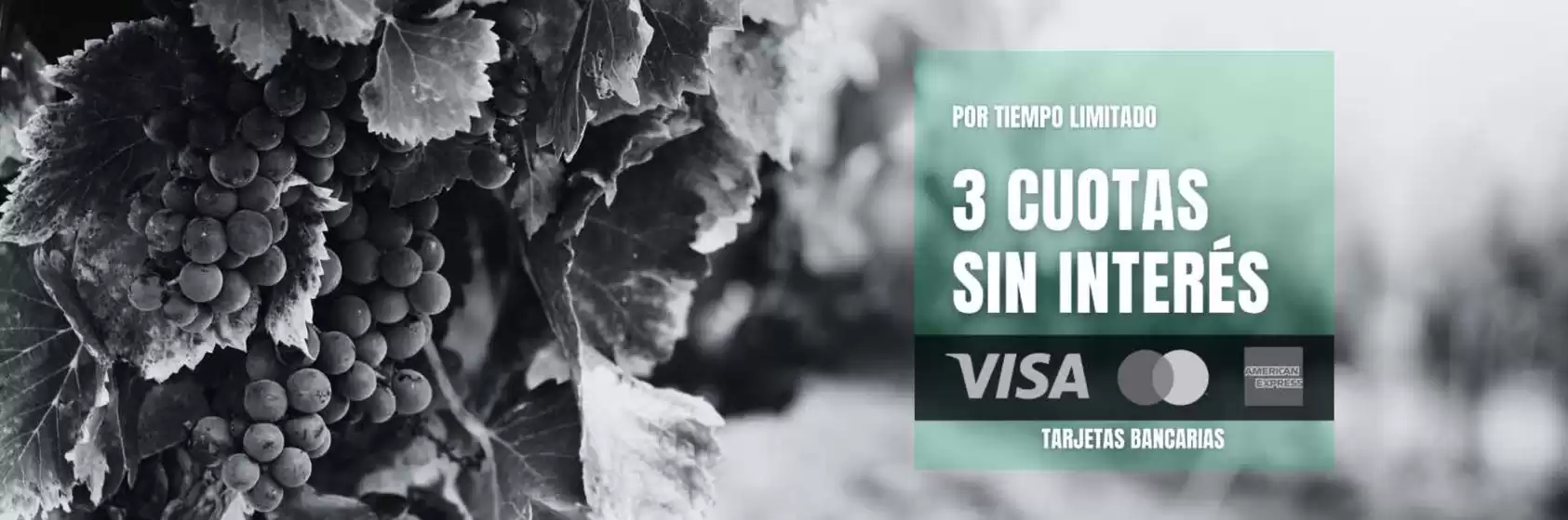 Catálogo Vinoteca Ligier | 3 cuotas sin interes!! | 2026-02-02T00:00:00.000Z - 2026-02-14T00:00:00.000Z