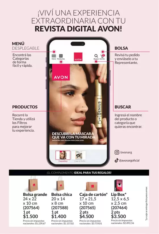 main_flyer image