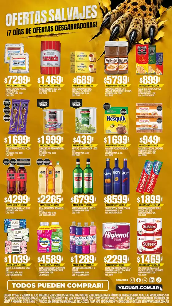 main_flyer image