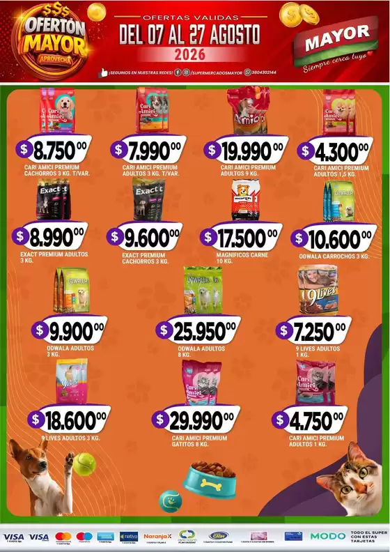 main_flyer image
