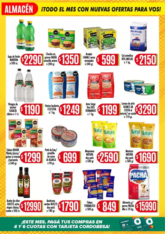 main_flyer image