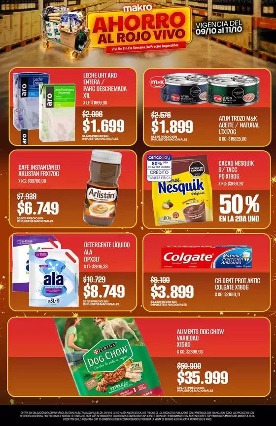 main_flyer image