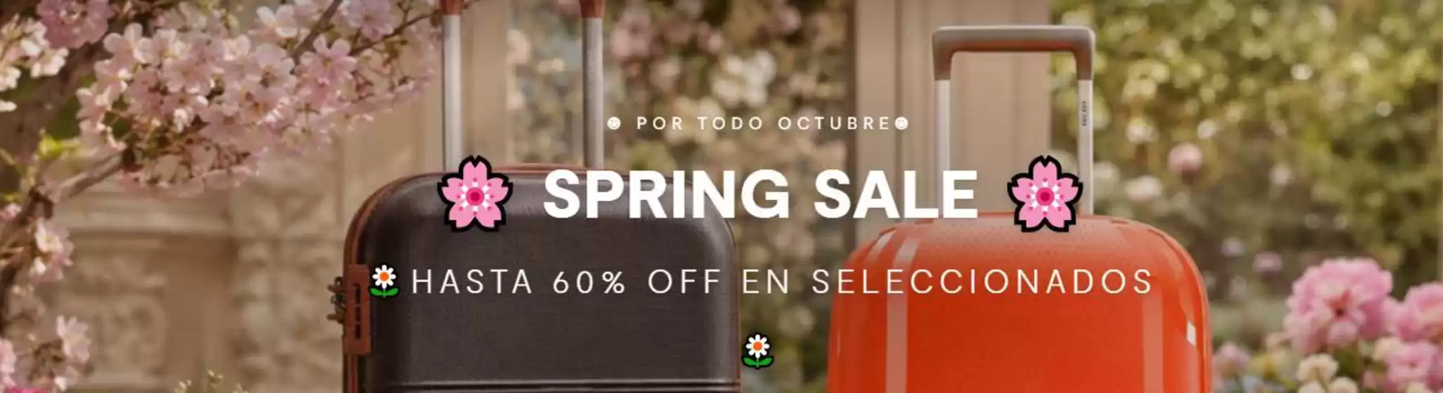 Catálogo Delsey | Hasta 60% off | 2026-10-21T00:00:00.000Z - 2026-11-05T00:00:00.000Z