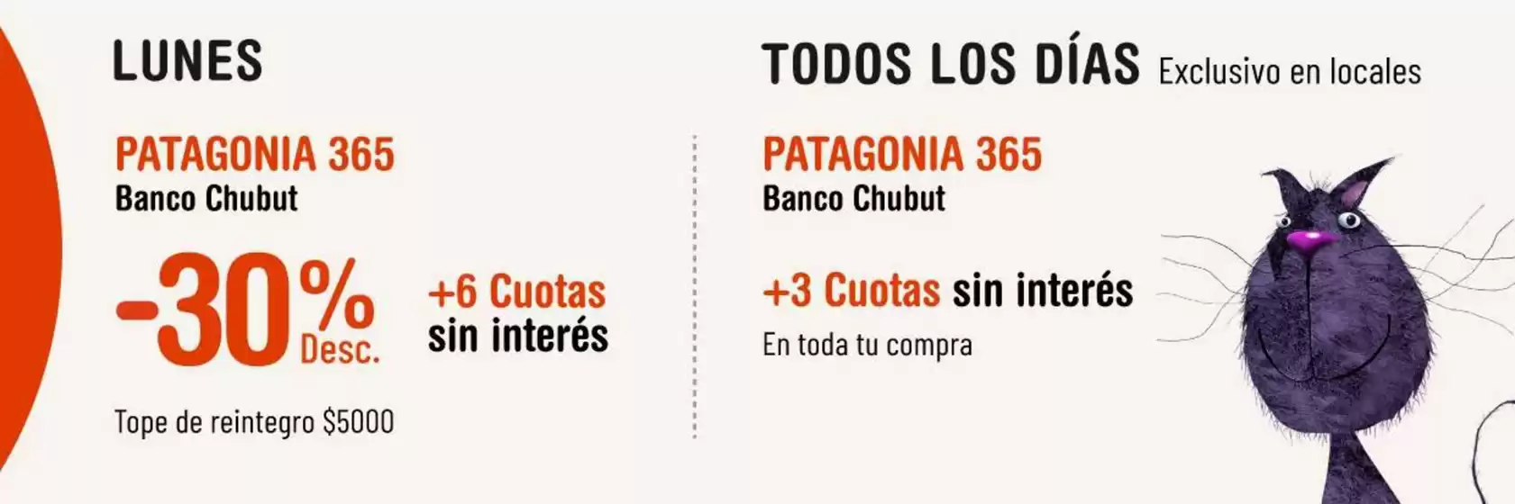 Promoción de Tienda de Mascotas y Bancos