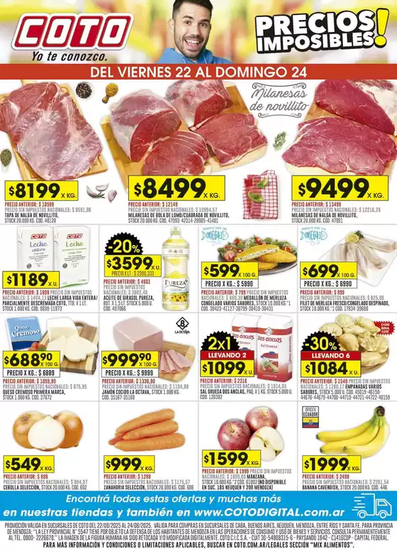 Coto Afiche Mix