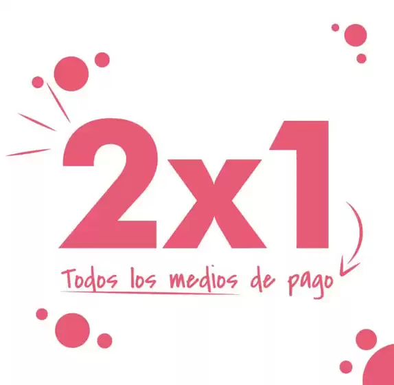 2x1