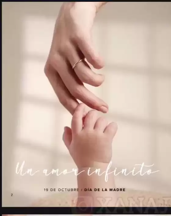 Catalogo Violetta Campaña 14 Cosméticos Argentina 2025