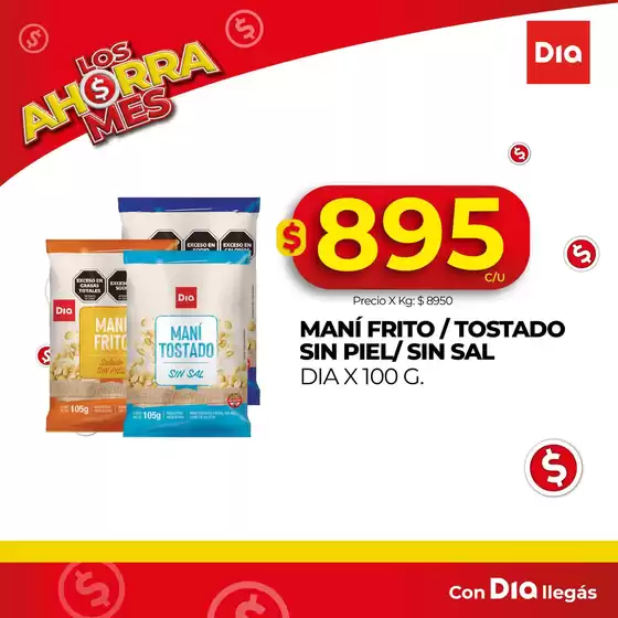 Catálogo Supermercados DIA en Mar del Plata | Ofertas especiales para ti | 2025-08-26T00:00:00.000Z - 2025-09-09T00:00:00.000Z