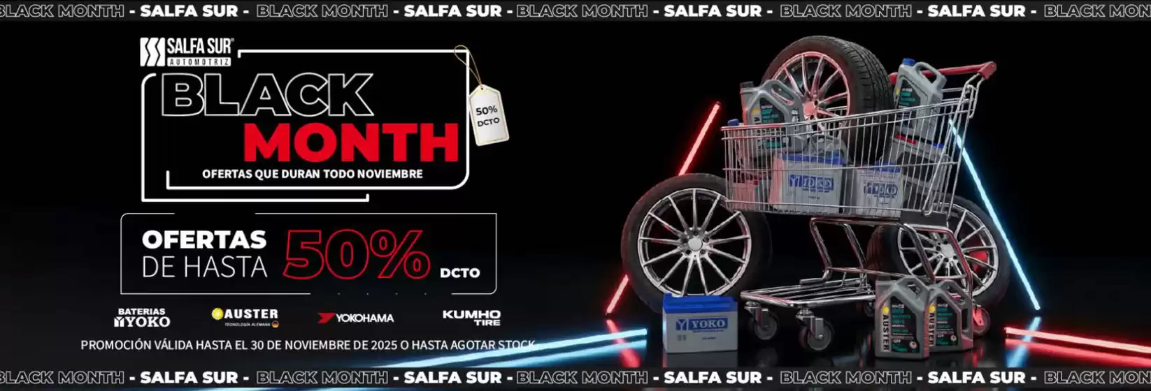 Catálogo Salfa Sur | Black month! | 2025-11-19T00:00:00.000Z - 2025-11-30T00:00:00.000Z
