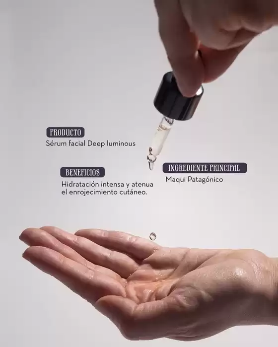 Catálogo Farmacias Knop en Puente Alto | Ofertas principales para ahorradores | 2025-11-28T00:00:00.000Z - 2025-12-12T00:00:00.000Z