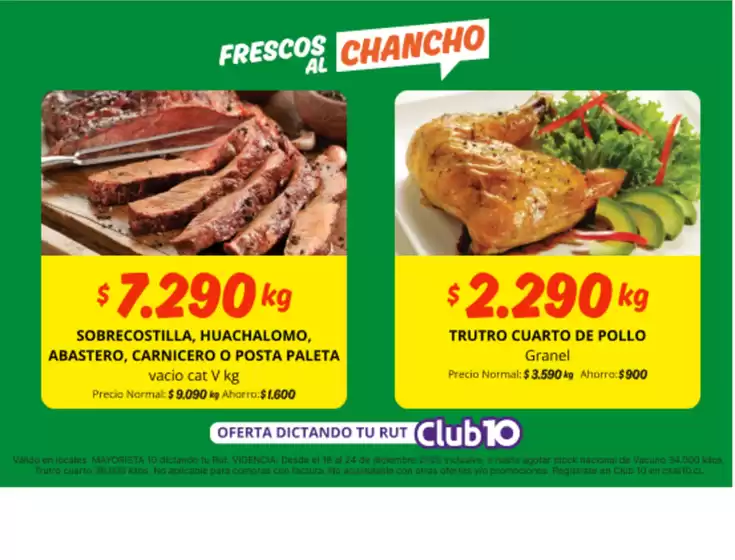 Catálogo Mayorista 10 en Hualqui | Ahorra ahora con nuestras ofertas | 2025-12-18T00:00:00.000Z - 2025-12-24T00:00:00.000Z