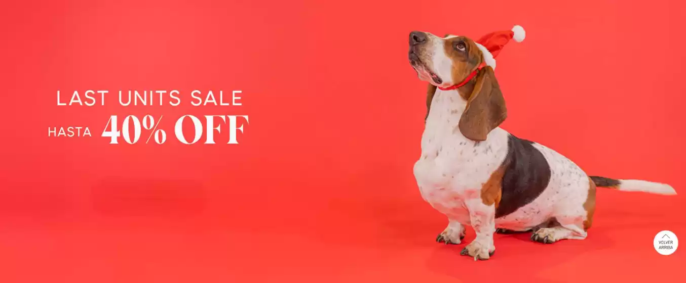 Catálogo Hush Puppies Kids en Talca (Maule) | Hasta 40% Off! | 2025-12-19T00:00:00.000Z - 2026-01-02T00:00:00.000Z